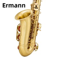 SAX Alto Drop E Saxophone Instrument Brass Brushed Blue Lacquer Beginner Playing Style Y-AS-860