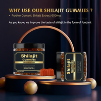 Gummies de Shilajit et Ashwagandha, mélange 10-en-1, 3000mg 500mg