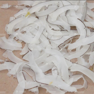 FC-305 Affettatrice per Cicoria, Macchina Taglia Cicoria, Macchina Taglia e Affetta Cicoria - Product Image 5