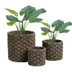 Plantes vertes succulentes de balcon, simples, pour plantes vertes, pot de fleurs, Vase