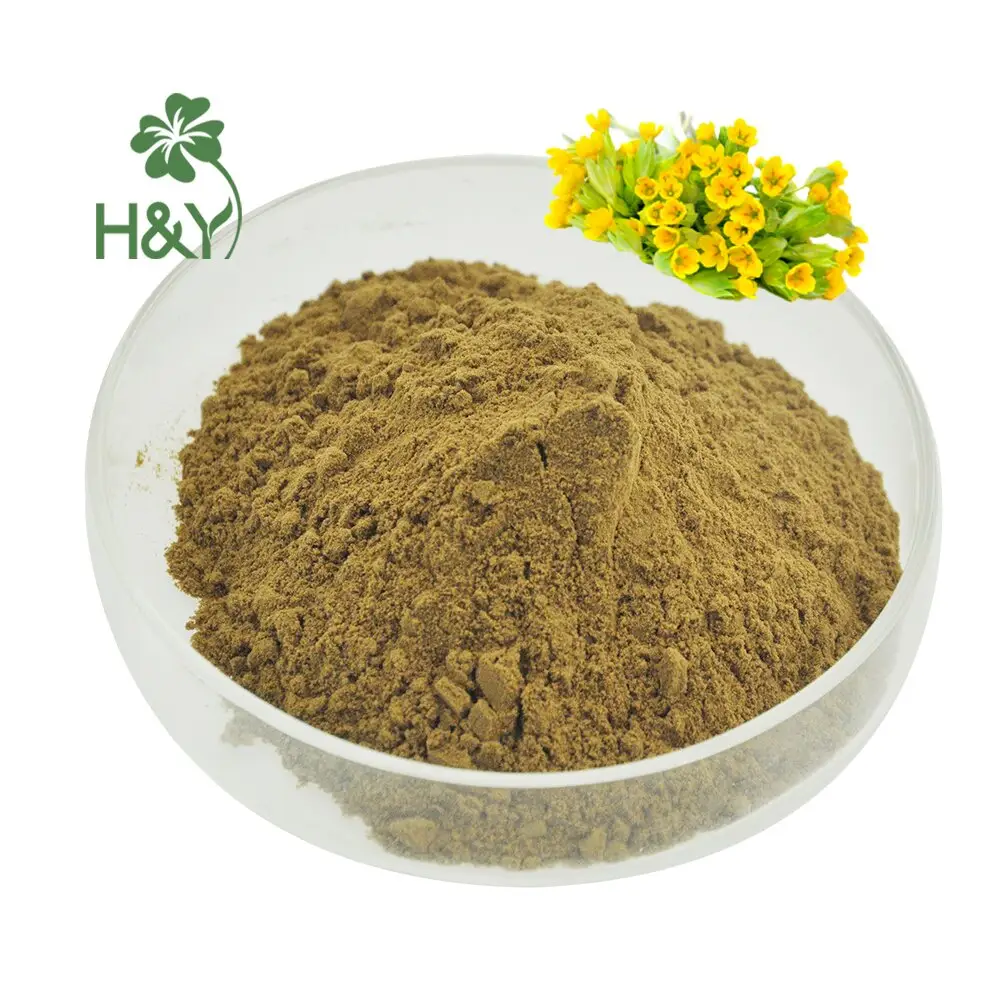 Factory Supply Hot Selling Top Quality Price Light Primula Veris Extract Primrose Extract Powder