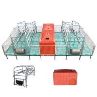 Lit de mise bas pour truies, équipement d'élevage porcin, enclos de mise bas pour truies, caisses de mise bas à vendre
