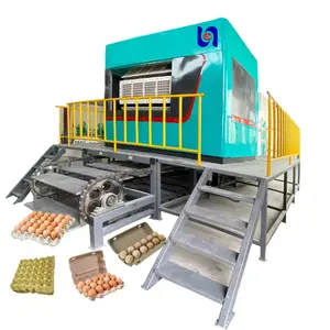 Chinesisches Eierablage-Maschinen papier recycling mit Ziegelofen-Trocknungs-Tiefzieh maschine Eier ablage