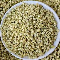 Thé vert au jasmin de Chine en vrac de haute qualité, emballage en boîte, prix d'usine, meilleur thé pour la santé - Offre Spéciale