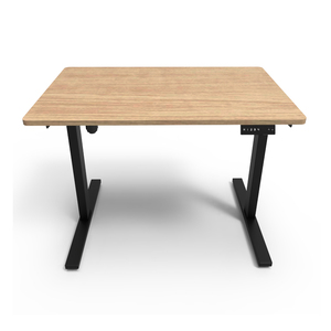 Practical Economic Single Motor Lift Up and Down Height Adjustable Electric Control Office and Home Standing Desk - Product Image 2