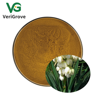 100% tinh khiết tự nhiên Yucca Essence chiết xuất bột Yucca schidigera chiết xuất từ rễ - Product Image 1