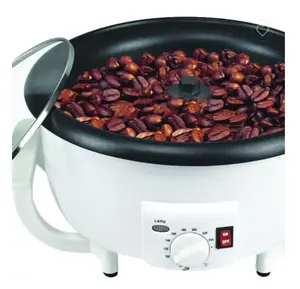 Electric coffee bean roaster and house use popcorn maker 2 in 1