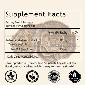 Capsule de Crinière de Daim, Extrait de Champignon pour le Bien-être, la Santé Intestinale, l'Énergie et le Rythme, Végétalien, Sans OGM, Extrait de Crinière de Daim - Product Image 2