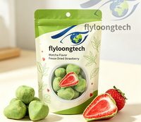 Top gewaardeerde pure chocolade aardbei gevriesdroogde premium zoete snack heerlijke bulkverpakking