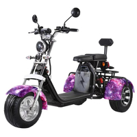 Tricycle électrique Citycoco 3 roues pour adultes, homologué EEC CE, certifié COC, 4000W, avec GPS et étanche, vente en gros Loyal China
