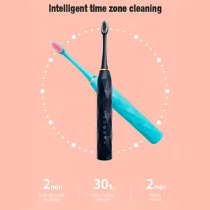 Sonic Toothbrushes Adult Soft With 4 PSC Brush Heads 6 Modes Electric Toothbrush USB Charging Toothbrush Set Customize Logo