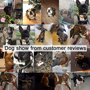 Collar de acero inoxidable para perro, cadena de eslabones cubanos, oro de 18K, 10MM y 15MM - Product Image 6