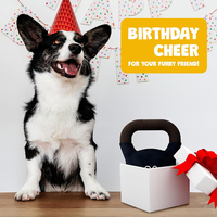 Kettlebell durable et drôle en peluche avec effets sonores accessoires d'haltérophilie jouet pour chien V008 vente en gros