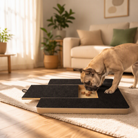 Grattoir à ongles rétractable en bois pour chien, planche à gratter, jouet pour animaux, jouet pour chat, griffoir, papier de verre