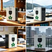 Station d'alimentation solaire tout-en-un à onde sinusoïdale pure 0,5 kW avec batterie LiFePO4 1 kWh, portable pour scénarios hors réseau en cabane