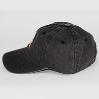 Op maat gemaakte geborduurde baseballcap - Gepersonaliseerde snapback pet met Argyle & fruitmotieven voor outdoor vis- en jachtavonturen