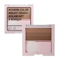 Palette de Contouring et Correcteur de Luxe, Marque Privée, Illuminateur Minéral Compact, Écran Solaire Imperméable pour le Visage Quotidien des Femmes
