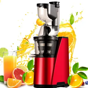 Customized logo Automatic Juicers Vegetables Ice Cream Made Juciers Multifunctional Slow Juicer