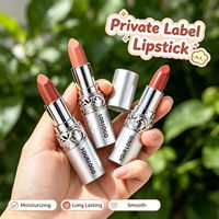 Rouge à lèvres mat de luxe à étiquette privée, imperméable, végan, lisse, longue tenue, logo personnalisé, maquillage pour les lèvres