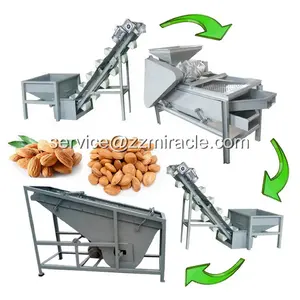 Machine à éplucher les noix de pécan entièrement automatique Ligne de craquage de noyau de noix de pécan Machine à biscuits aux noix noires bon marché en vente