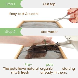 Nouvelle arrivée 9 Herb Intérieur Fenêtre Jardin kit Maison Plante Démarreur Unique Cuisine Idées Cadeaux pour Maman Papa - Product Image 6
