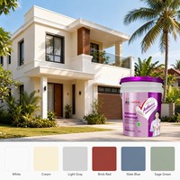 Pintura Inorgánica Nano para Paredes Exteriores, Revestimiento de Látex Impermeable, Aplicación en Aerosol, Líquido para