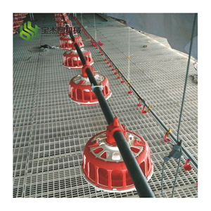 Equipo Avícola Automático para Paraguay, Silo, Comedero, Bebedero, Extractor, Panel de Control de Refrigeración, Galpón para Pollos - Product Image 5