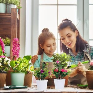 Plante artificielle en pot à cinq pétales, type bonsaï vert, avec roses en mousse, pour la photographie de robes de mariée en intérieur et les célébrations de Thanksgiving - Product Image 2