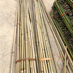Estacas y Varas de Bambú Moso Eco2go de Vietnam de Alta Calidad, 100% Bambú Natural Tratado, Longitud de 0.5-2m, Diámetro de 10-20mm - Product Image 1