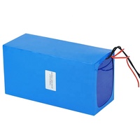 Paket Baterai LiFePO4 24V 50Ah Kustom Baterai Litium LiFePO4 Isi Ulang 24V 50Ah