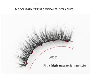 Extension de <span class=keywords><strong>cils</strong></span> magnétiques invisibles, kit de maquillage pour yeux, étiquette privée, offre spéciale, 2022 - Product Image 5
