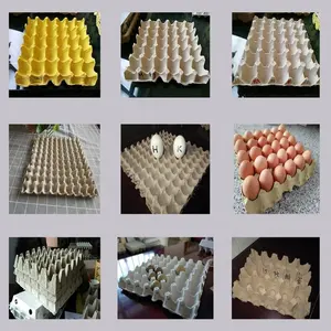 Automatic Rotary Machine Needed Waste Paper Pulp Forming 90 Cells Quail Egg Tray Mould