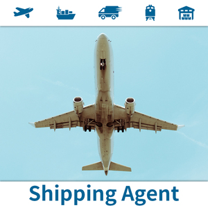 4 Continentes |   <span class=keywords><strong>De</strong></span> China a <span class=keywords><strong>Australia</strong></span>, Italia, Estados Unidos, Canadá, Emiratos Árabes Unidos, Reino Unido |   Aéreo 3-7d / Marítimo 20-40d / Express 2-5d |   DDP Puerta a Puerta - Product Image 5