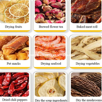 108 Trays Hoge Capaciteit Gas Aangedreven Voedsel Dehydrator Zeevruchten Groente Dehydrator Fruit Drogen Voor Voedselproces