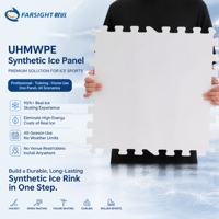Panneaux de glace synthétique UHMWPE, panneaux de patinoire artificielle pour l'entraînement au hockey sur glace dans les cours d'écoles