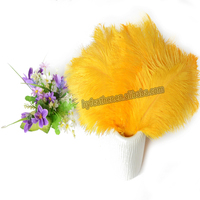 Plumes d'autruche de 40-45 cm, décorations pour costumes de carnaval, décoration de table, plumes d'autruche teintées pour mariage