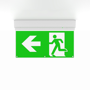 Luminaire d'urgence LED 6-en-1 à montage mural ou au plafond, intérieur IP20, signalisation de sécurité incendie, pictogrammes OEM, haut, bas, gauche, droite, 3 heures - Product Image 1