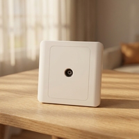Prise murale industrielle encastrée série Yuanjing BENDI C47 avec sortie coaxiale pour panneau PC, usage domestique et hôtelier