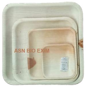 Vajilla desechable de hoja de palma Areca Biodegradable Natural 100%, Platos y platos grabados con patrón de planta ecológico - Product Image 3