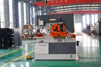 RAYMAX Haute qualité pour machine à poinçonner et à cisailler le métal, machine à travailler le fer