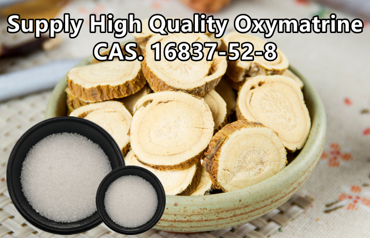 CAS 16837-52-8 Sophora Flavescens Extract Oxymatrine Powder 98% 0