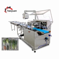 Machine d'emballage automatique HAOYUAN HY-680 pour fruits frais, carottes, légumes, salades, avec ensacheuse de type oreiller et trois servomoteurs