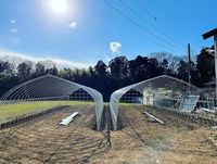 Goedkope enkelspannings tunnelkas met warmgegalvaniseerd stalen frame en stabiele constructie voor tomaten- en groenteteelt