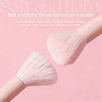 Ensemble de 11 pinceaux de maquillage professionnels OEM ODM, poils synthétiques, manche en plastique, pour le visage, pour femmes
