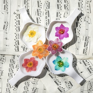 12 pz/borsa cinese giglio sacro/narcisi/fiori Joss fiori pressati - Product Image 4