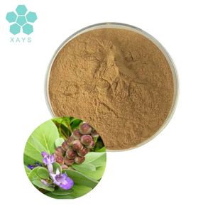 Pasokan pabrik bubuk <span class=keywords><strong>chasteberry</strong></span> alami bubuk ekstrak <span class=keywords><strong>chasteberry</strong></span> - Product Image 1