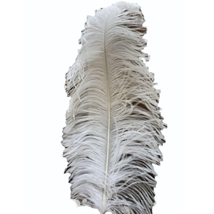 Plumas de Avestruz Teñidas Naturales de Soraj Enterprises, de 24 a 26 Pulgadas, para Bodas, Fiestas, Decoración del Hogar, Disfraces, Manualidades, Accesorios de Moda - Product Image 1