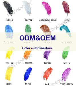 Plumes d'<span class=keywords><strong>autruche</strong></span> largement utilisées pour les centres de table de mariage Plume d'<span class=keywords><strong>autruche</strong></span> naturelle assez moelleuse - Product Image 4