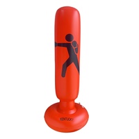 Ensemble de jouets gonflables de boxe et de kickboxing sur socle pour enfants de 3 à 12 ans, 120/160 cm, couleur personnalisée, cadeaux de Noël et d'anniversaire, PVC, eau, sable, style Ninja
