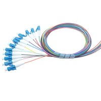 Kabel Patch Cord MPO ke LC FTTH Singlemode 12 Core 0.9mm dengan Rakitan Fanout, Garansi 1 Tahun